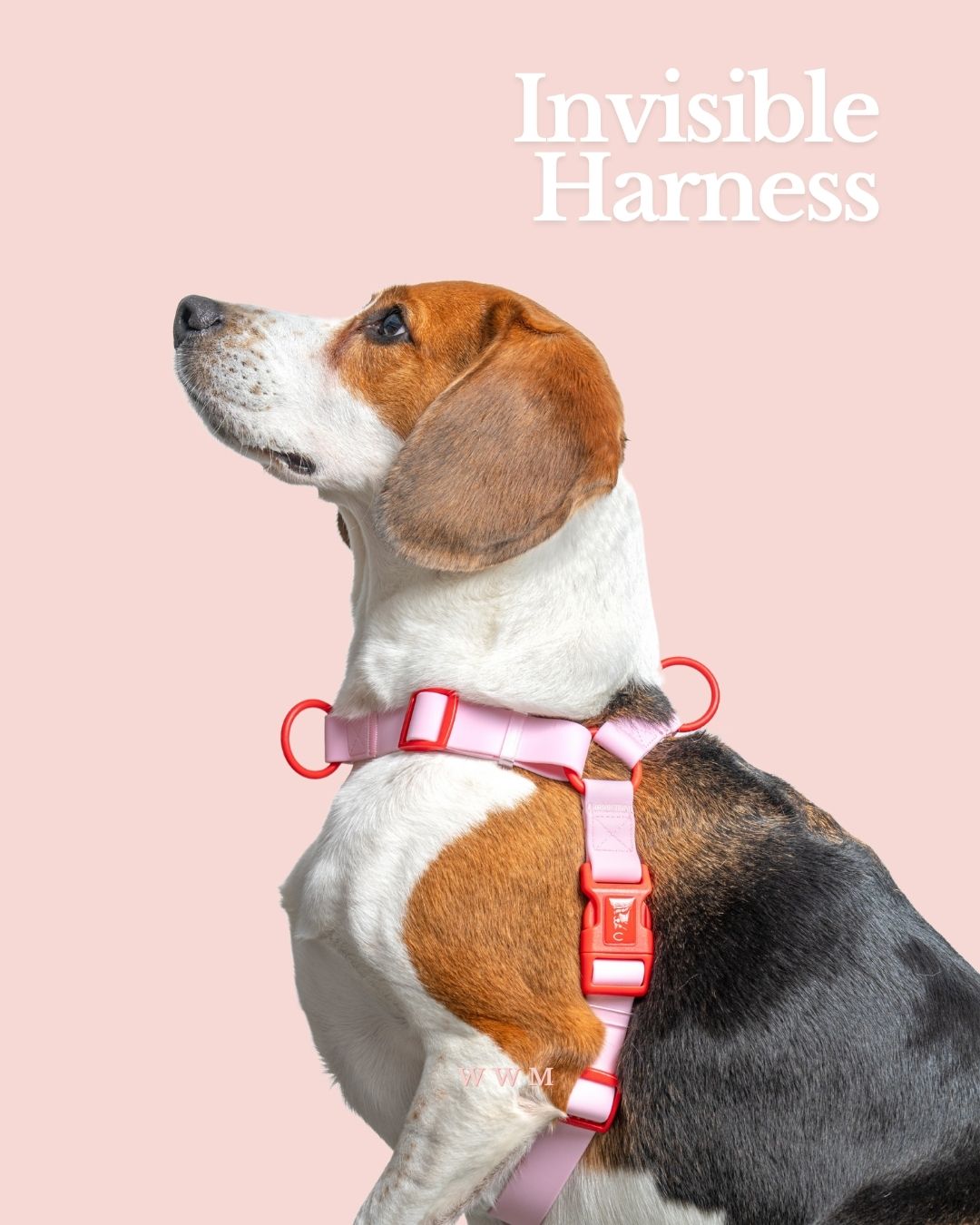 WWM x WW9 | Waterproof Invisible Harness