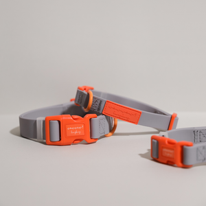 Ash X Orange | Waterproof Collar