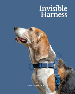 WWM x WW9 | Waterproof Invisible Harness