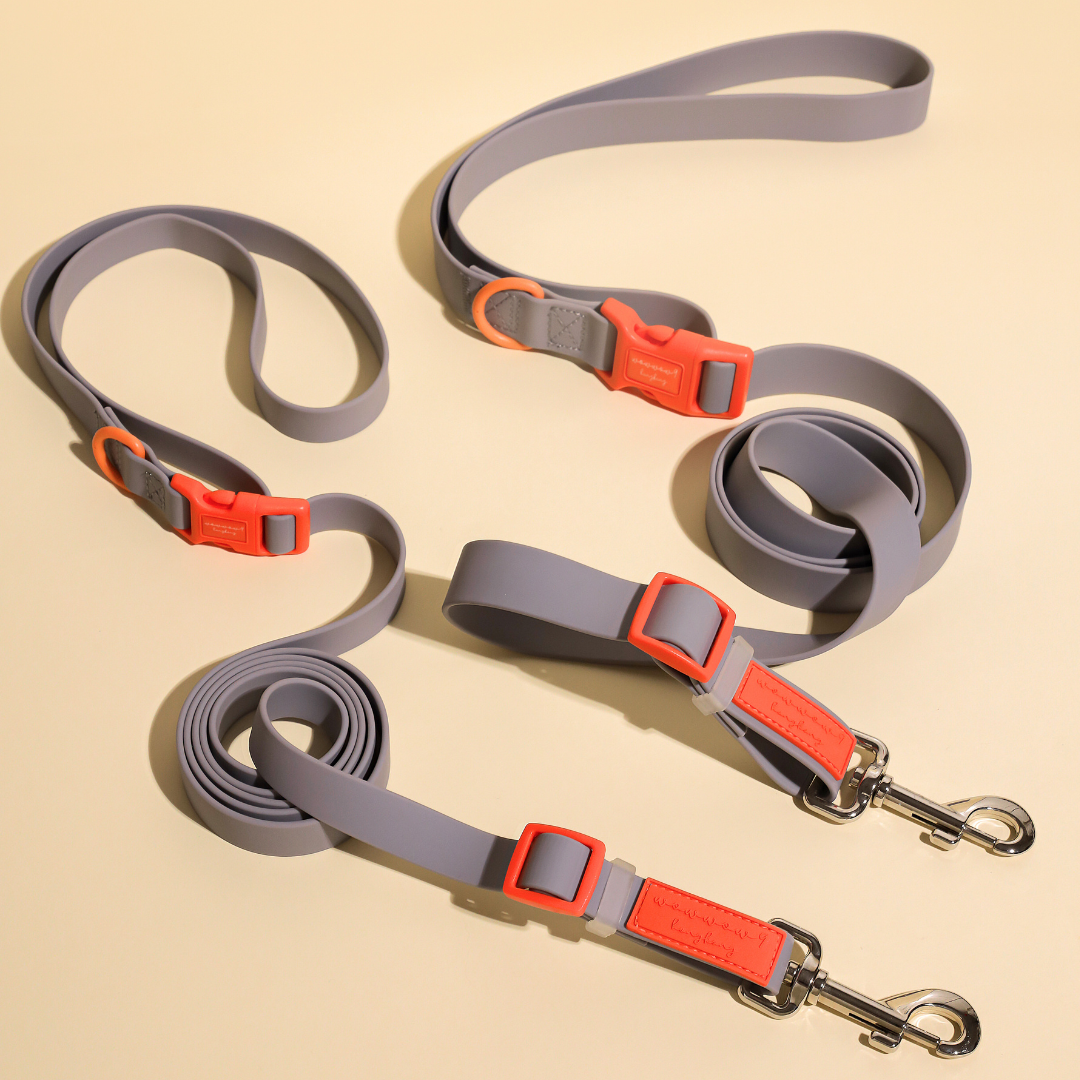 Ash X Orange | Waterproof Multipurpose Lead