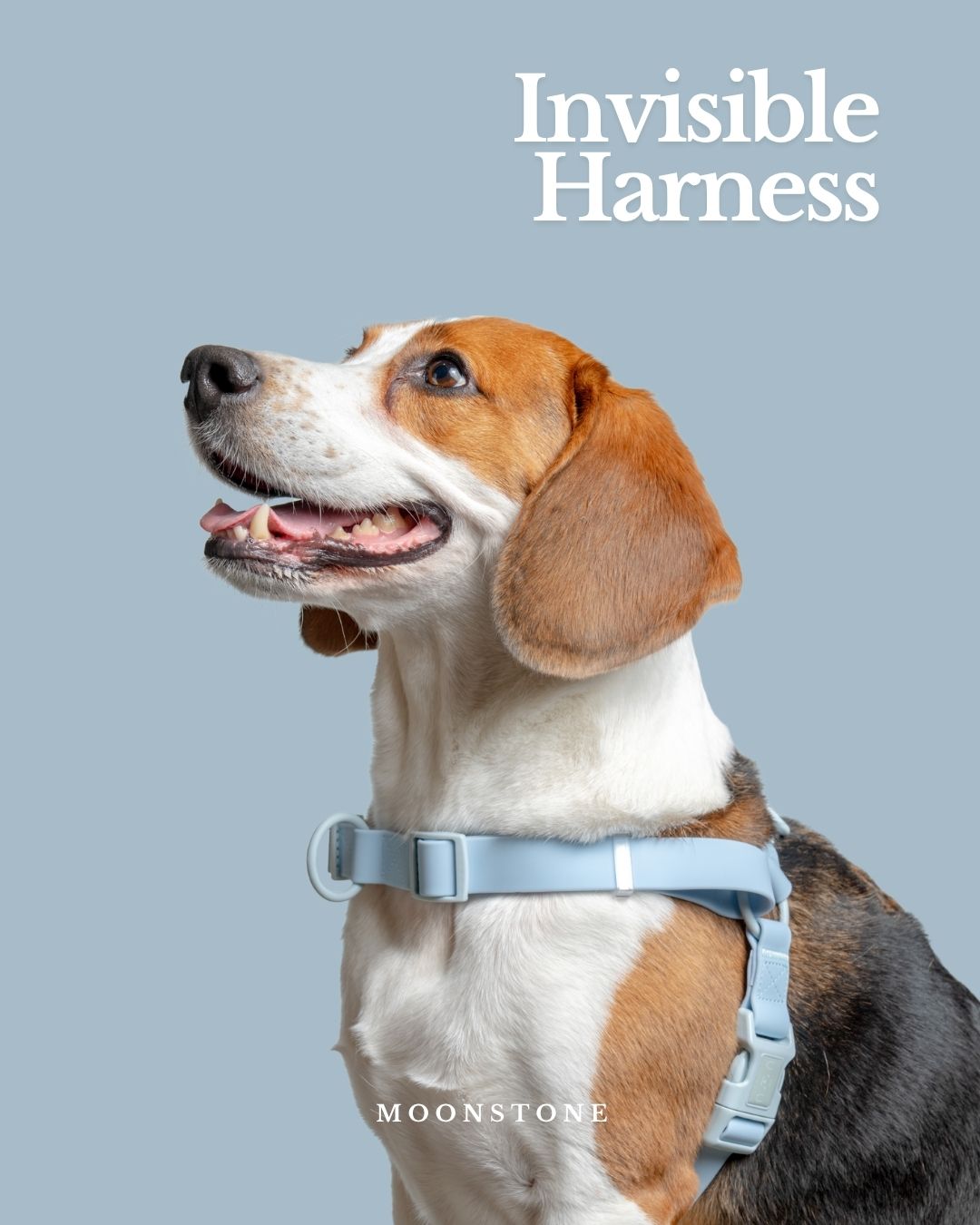 WWM x WW9 | Waterproof Invisible Harness