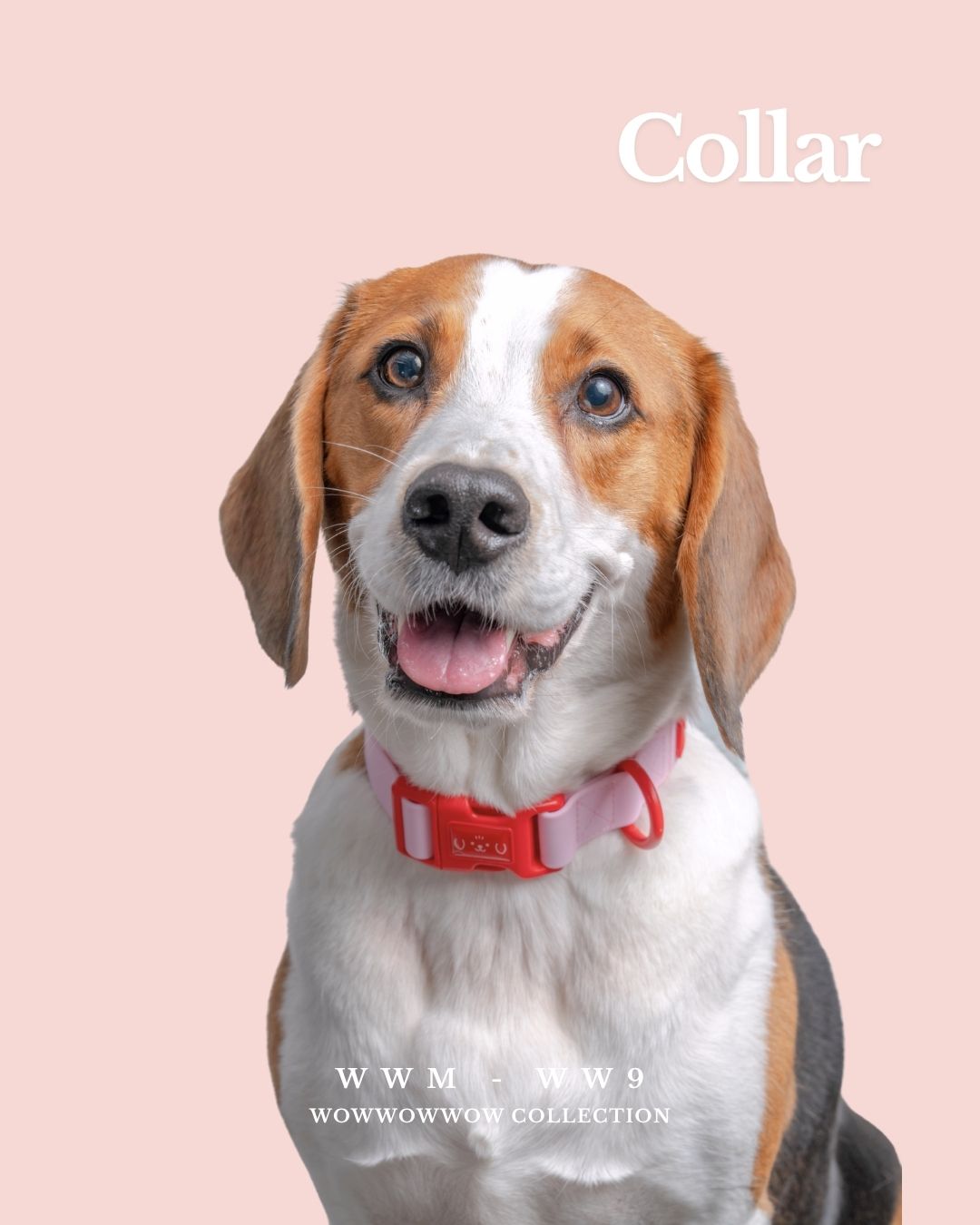 WWM x WW9 | Waterproof Collar