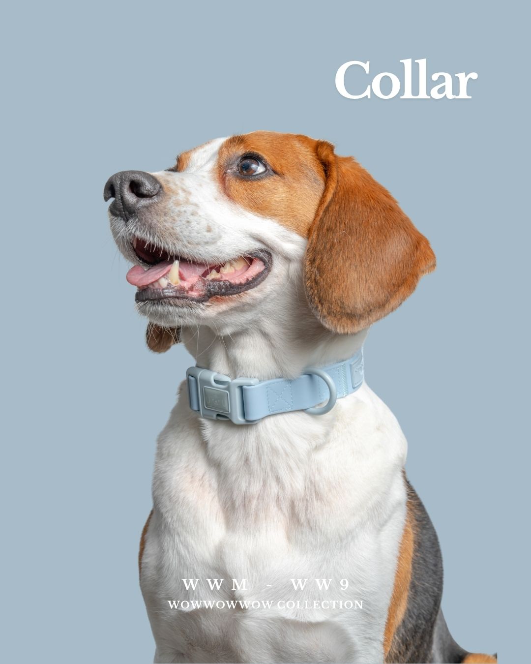 WWM x WW9 | Waterproof Collar