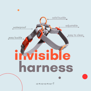 Ash X Orange | Waterproof Invisible Harness Bundle Set