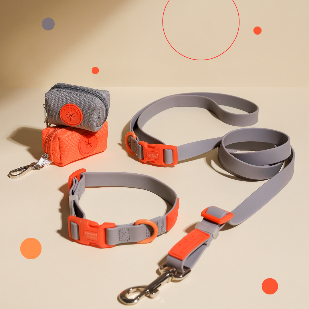 Ash X Orange | Waterproof Collar Bundle Set