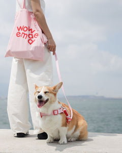 WWM x WW9 | Waterproof Invisible Harness Bundle Set (WWM Color)