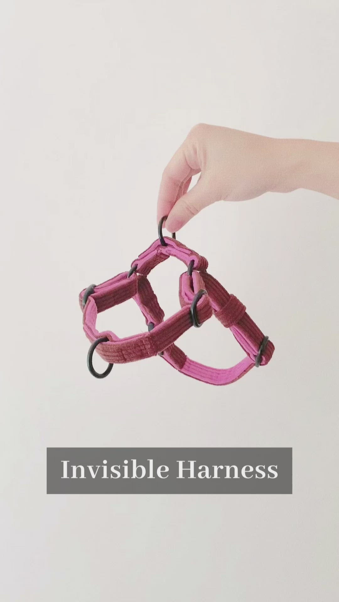 Corduroy ｜ Invisible Harness