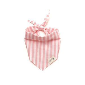 <The Paws Bandana>  Cabana Blush pink Stripes