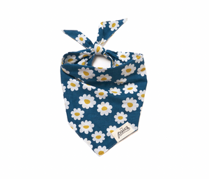 <The Paws Bandana>  Urban Daisies