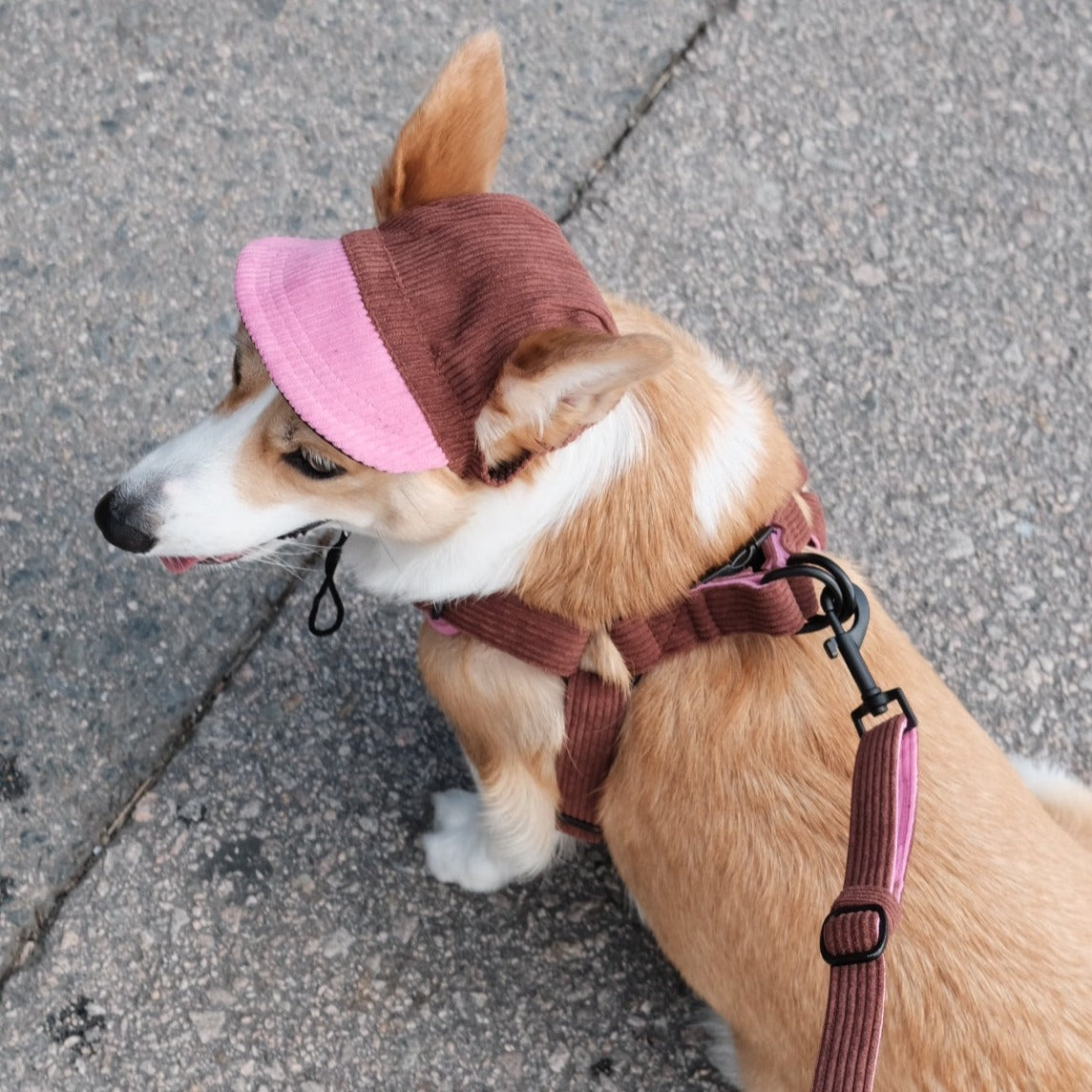 Corduroy | Hat