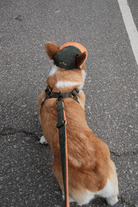 Corduroy | Hat