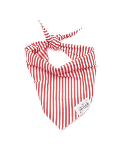 <The Paws Bandana>  Red Stripes