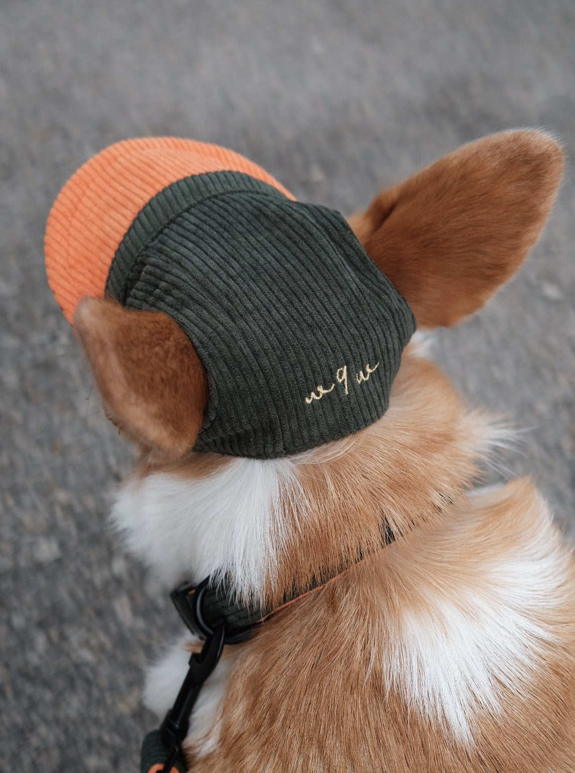 Corduroy | Hat