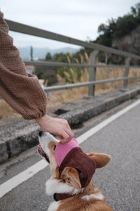 Corduroy | Hat